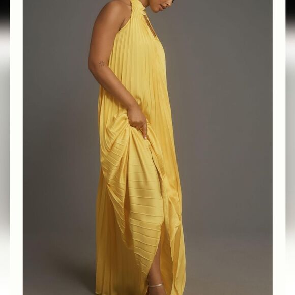 ANTHROPOLOGIE Hutch Halted Pleated Maxi Dress 1X NWT Pockets - Picture 3 of 16